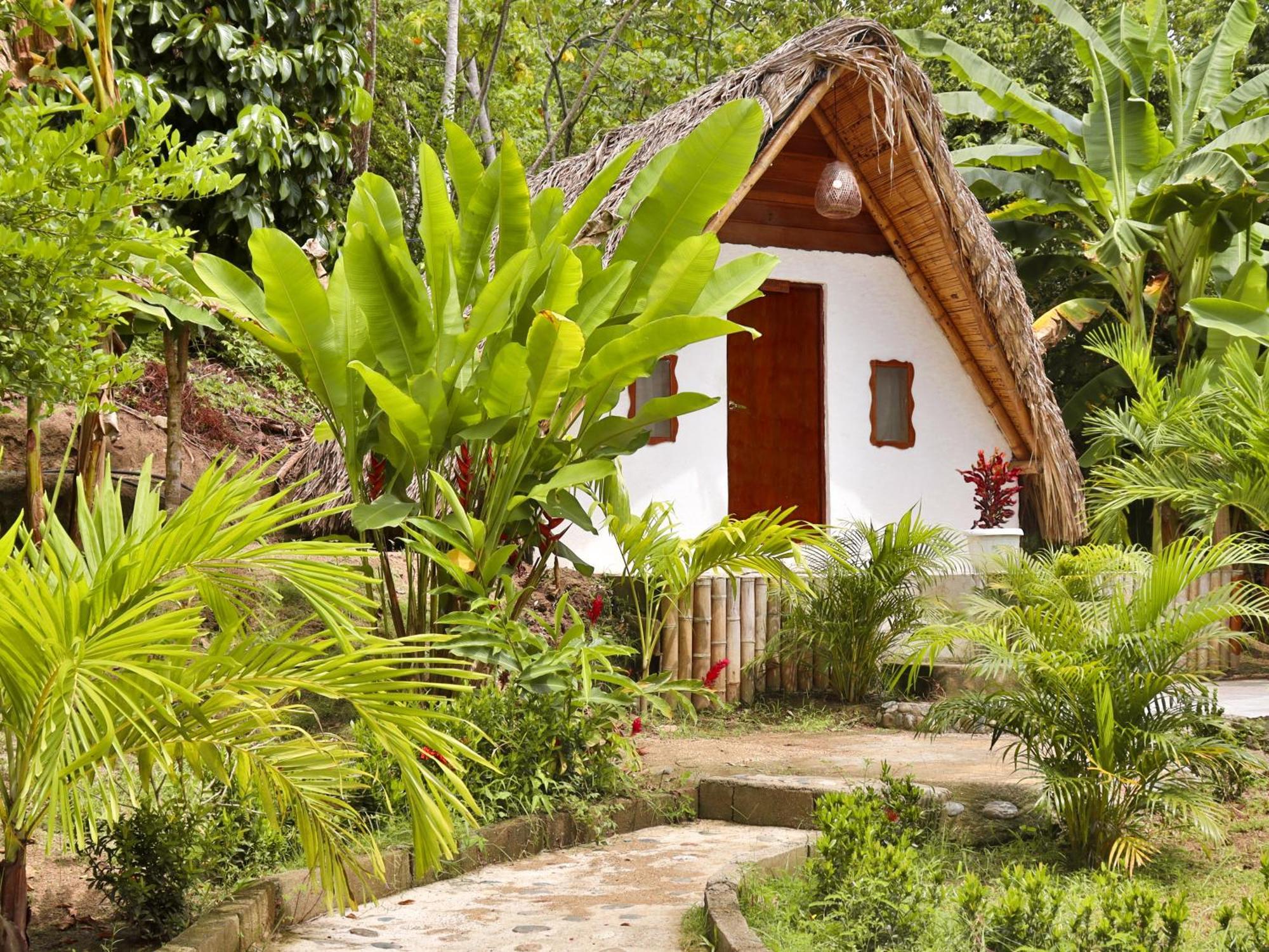 Eco Amanecer Tayrona El Zaino